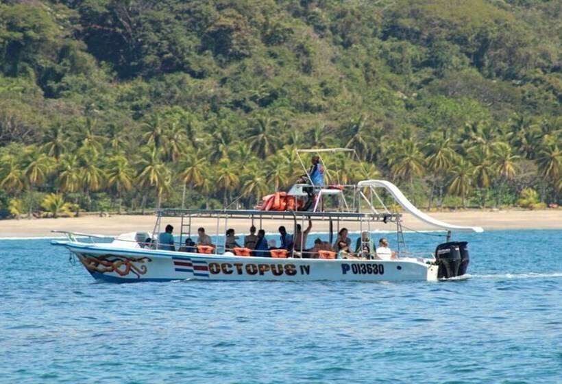 בית מלון כפרי Bellavista Suites By Villas Verdes   Samara Beach