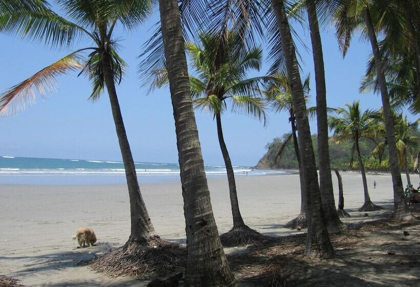 בית מלון כפרי Bellavista Suites By Villas Verdes   Samara Beach