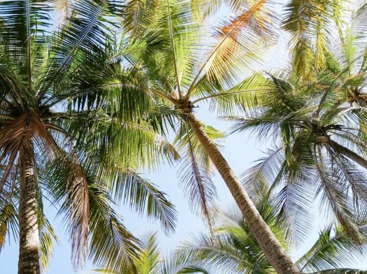 בית מלון כפרי Bellavista Suites By Villas Verdes   Samara Beach