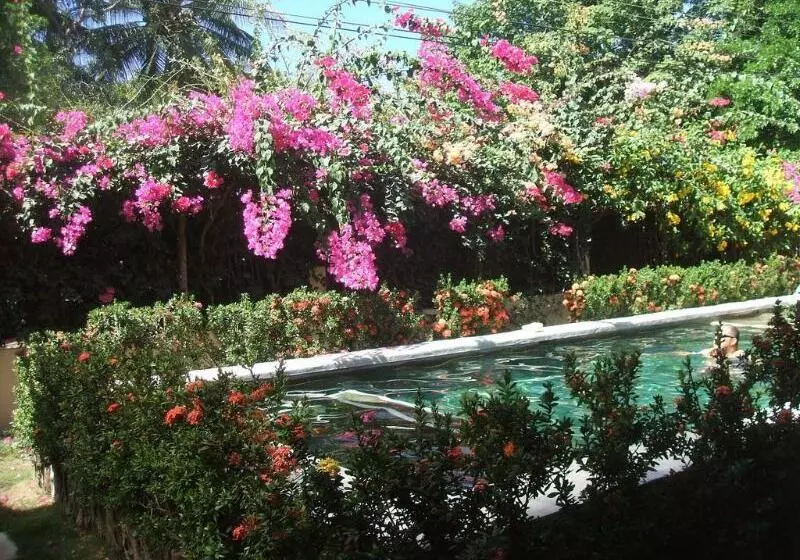 فندق Bellavista Suites By Villas Verdes Samara Beach