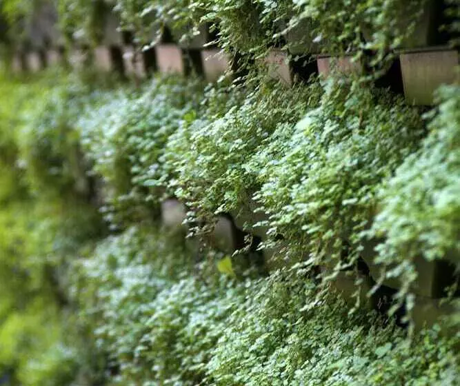 هتل Casa Bueras Boutique