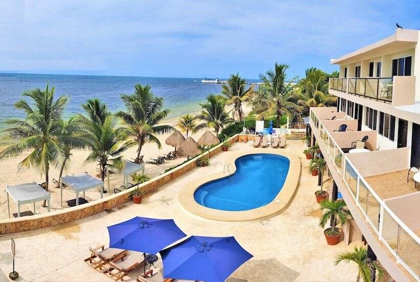 酒店 Hacienda Morelos Beachfront