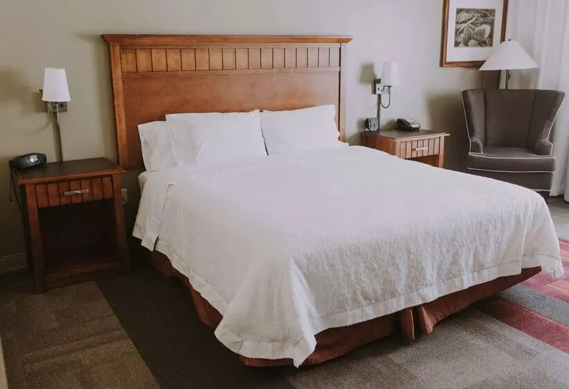 호텔 Hampton Inn & Suites Green River