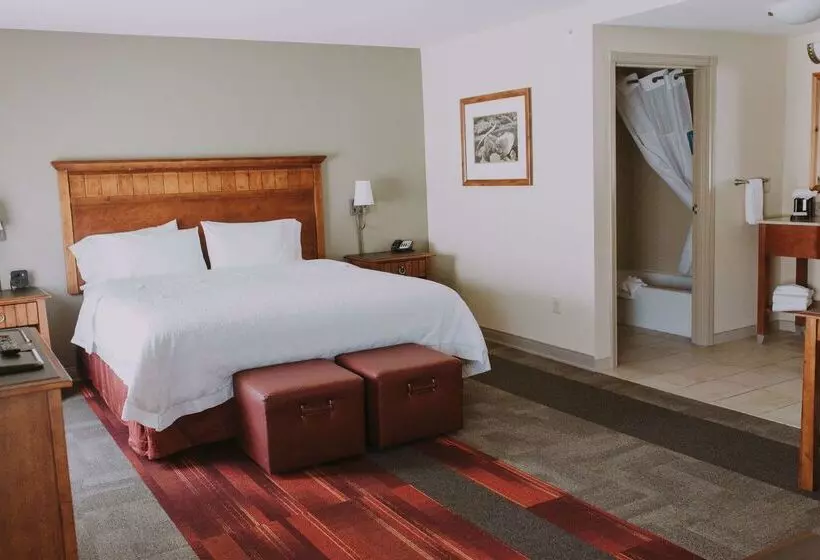 호텔 Hampton Inn & Suites Green River