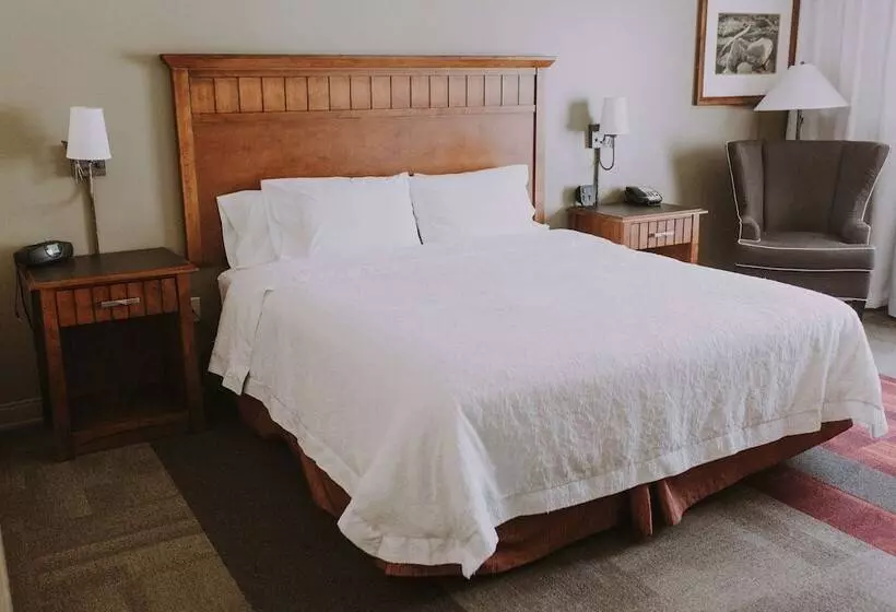 호텔 Hampton Inn & Suites Green River