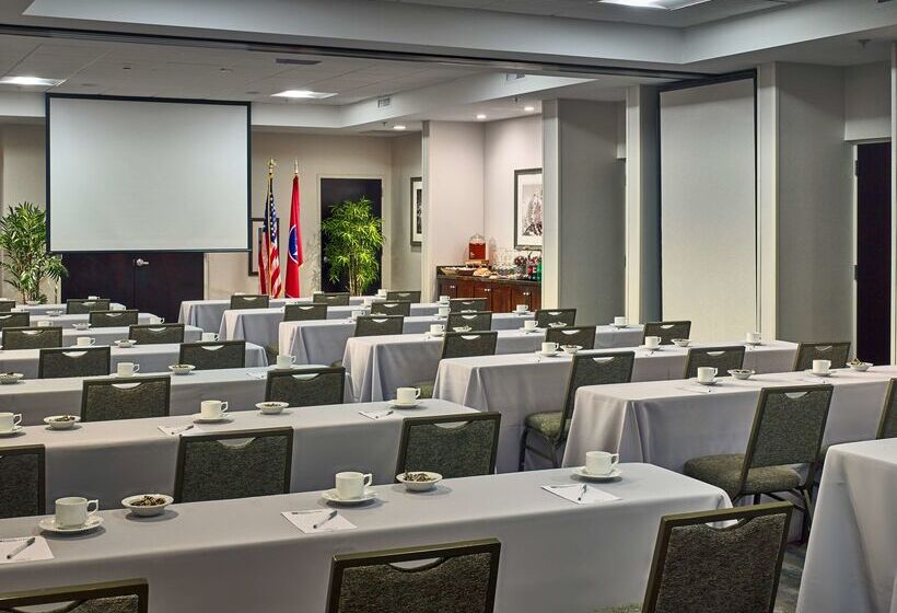 בית מלון כפרי Hilton Garden Inn Gatlinburg