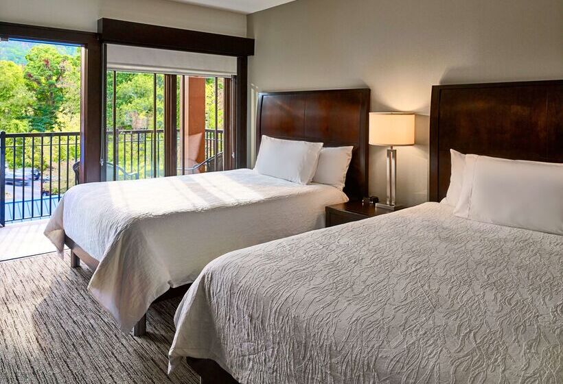 בית מלון כפרי Hilton Garden Inn Gatlinburg