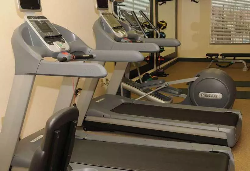 호텔 Hilton Garden Inn New Braunfels