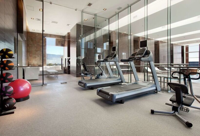 فندق Hilton Garden Inn Santiago Airport