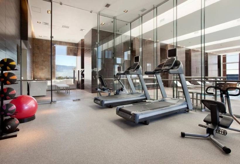 فندق Hilton Garden Inn Santiago Airport