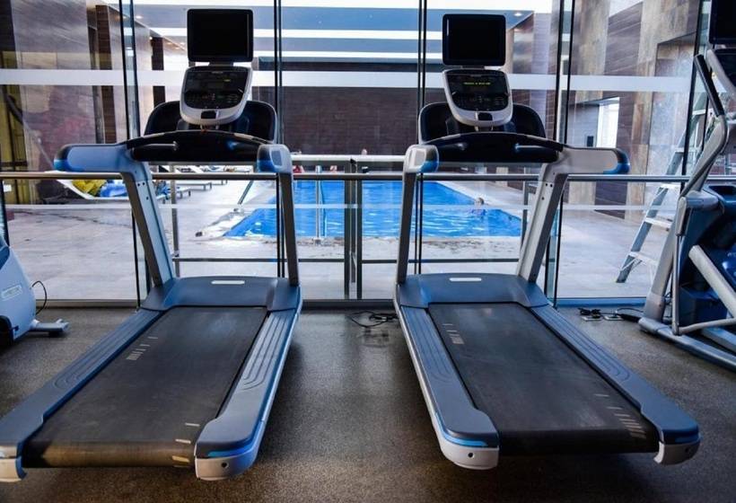 فندق Hilton Garden Inn Santiago Airport