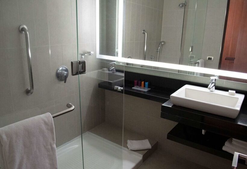 فندق Hilton Garden Inn Santiago Airport