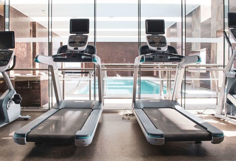 فندق Hilton Garden Inn Santiago Airport