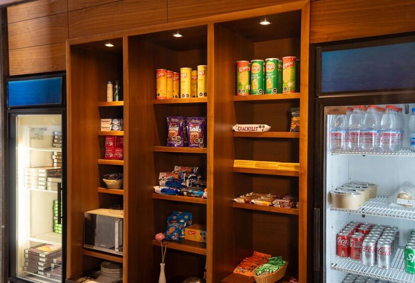 فندق Hilton Garden Inn Santiago Airport