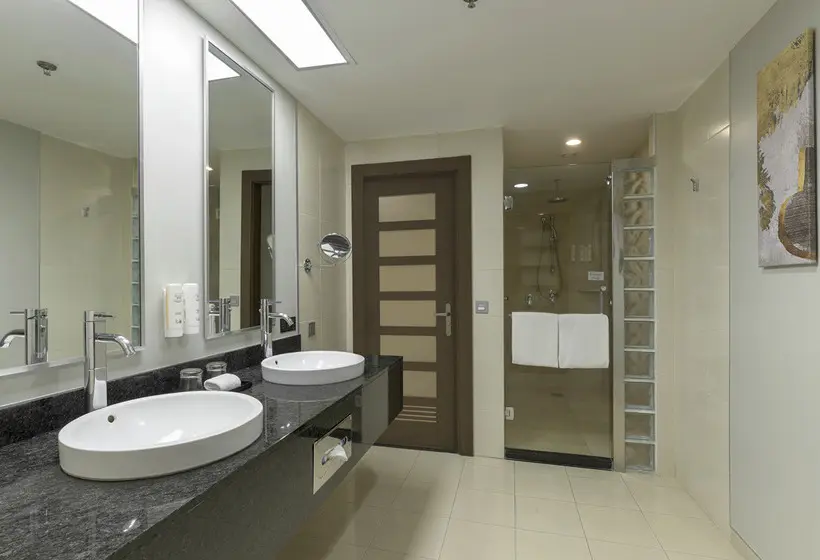 Hotel Riu Plaza Guadalajara