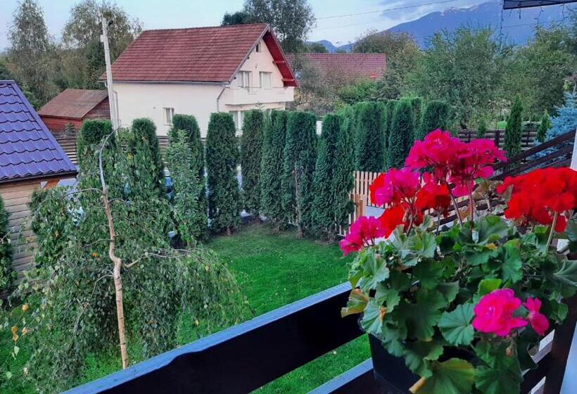 Bed and Breakfast La Maison Des Rêves   Bran