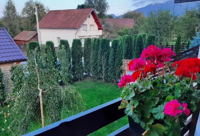 Aamiaismajoitus (B&B) La Maison Des Rêves   Bran