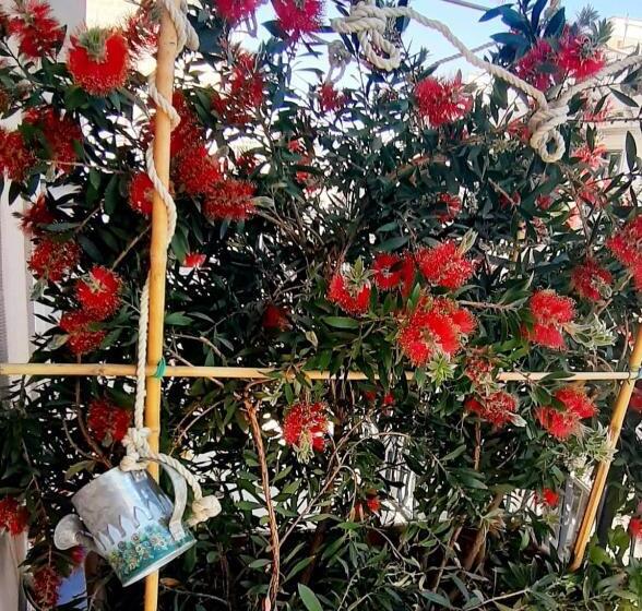 Bed and Breakfast Le Mille E Una Puglia   Stories And Experiences