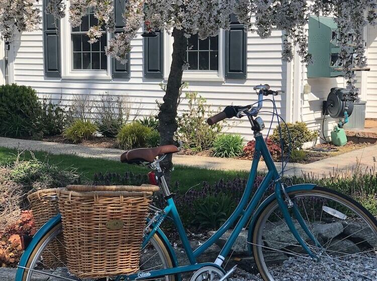 مبيت وإفطار The Homestead