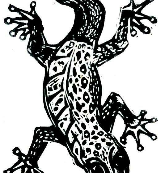 Пансион Gecko Guest House