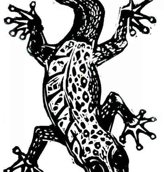 Majatalo Gecko Guest House