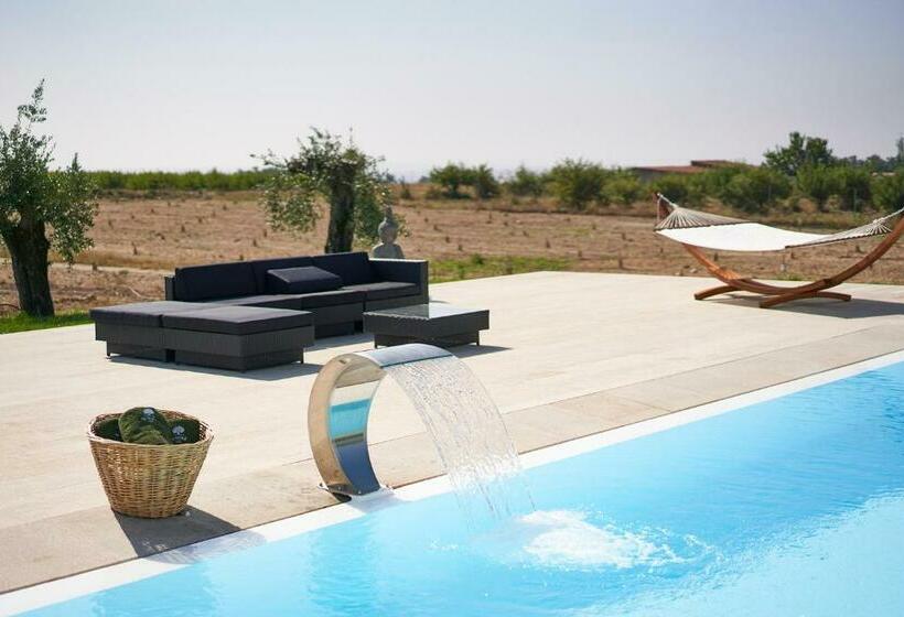 펜션 Oliveira House