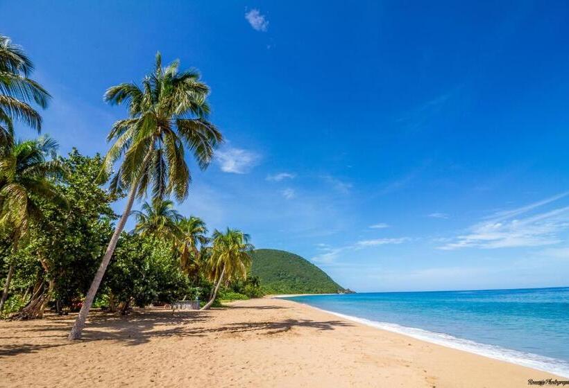 پانسیون Résidence La Pointe Marine