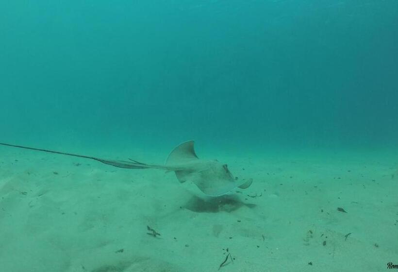 پانسیون Résidence La Pointe Marine