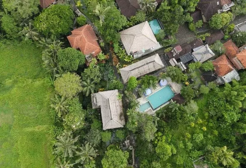 酒店 Alam Jiwa Ubud