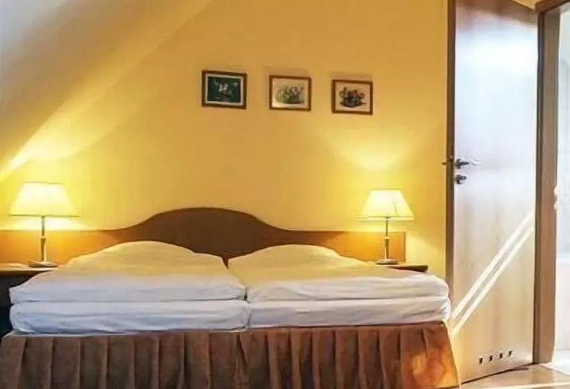 בית מלון כפרי Bielany