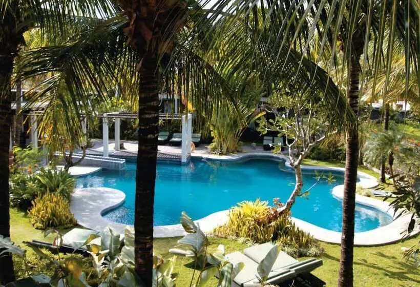 בית מלון כפרי Kokonut Suites