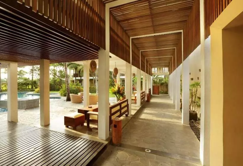 בית מלון כפרי Kokonut Suites