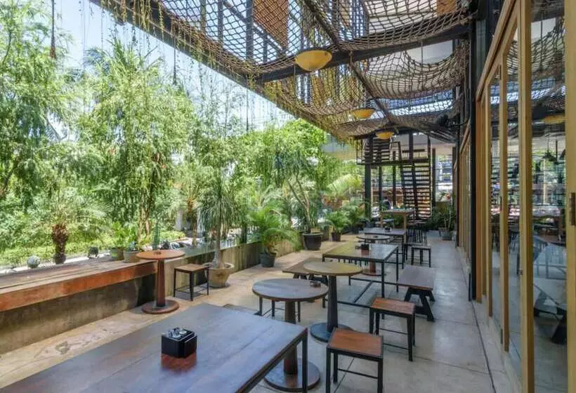 בית מלון כפרי Kokonut Suites