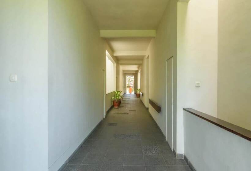 בית מלון כפרי Kokonut Suites