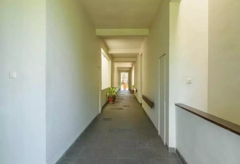 בית מלון כפרי Kokonut Suites