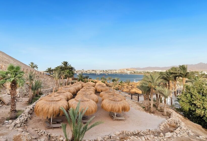هتل Swissôtel Sharm El Sheikh All Inclusive Collection