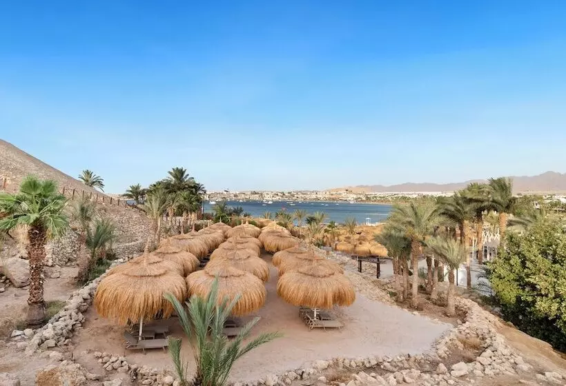 هتل Swissôtel Sharm El Sheikh All Inclusive Collection