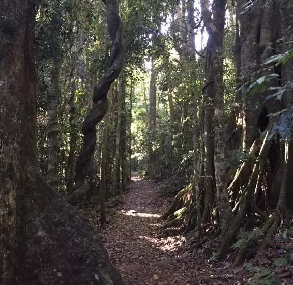 Kirra Surf Apartments