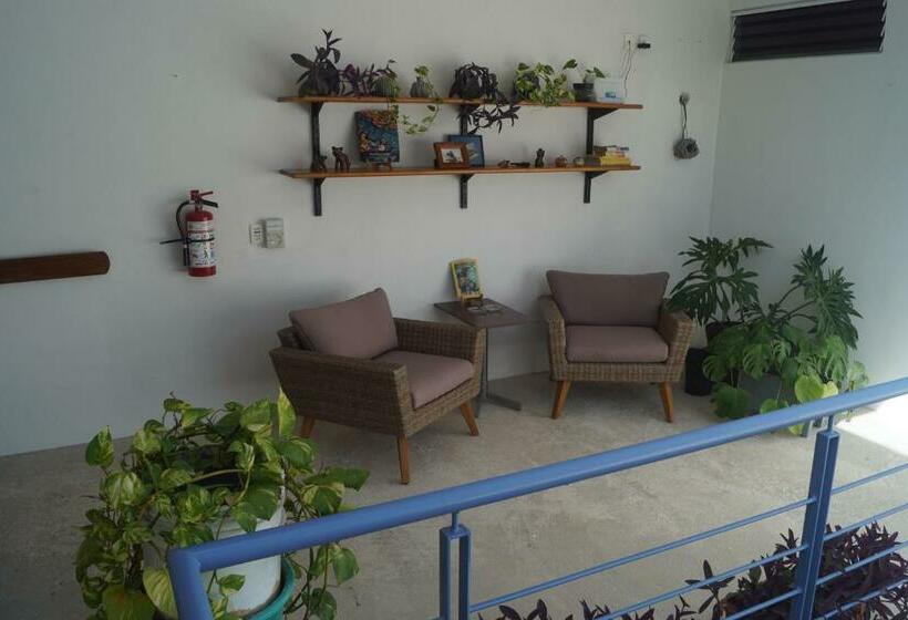 تختخواب و صبحانه Gran Jaguar