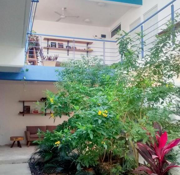 تختخواب و صبحانه Gran Jaguar