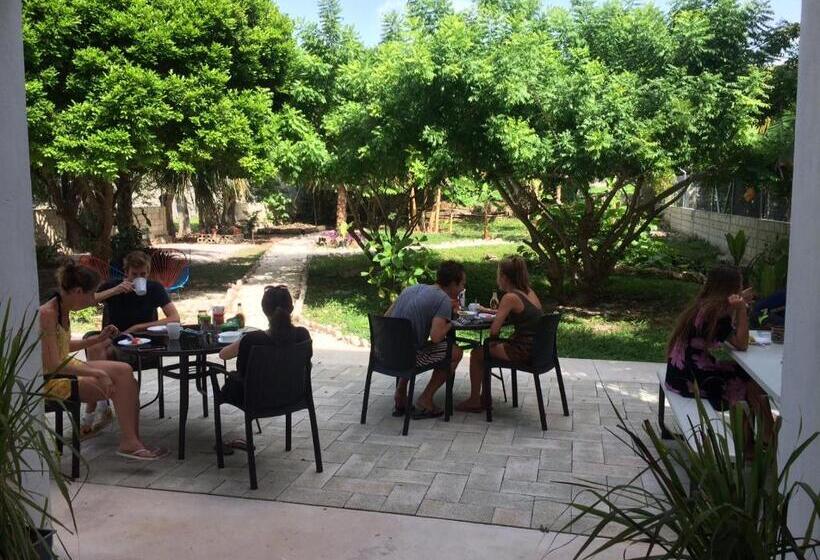 تختخواب و صبحانه Gran Jaguar