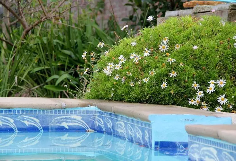 Aamiaismajoitus (B&B) Porterhouse Eleven