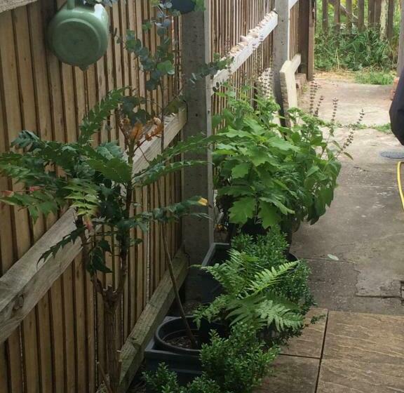 Bed and Breakfast Stylish Room Near Seafront