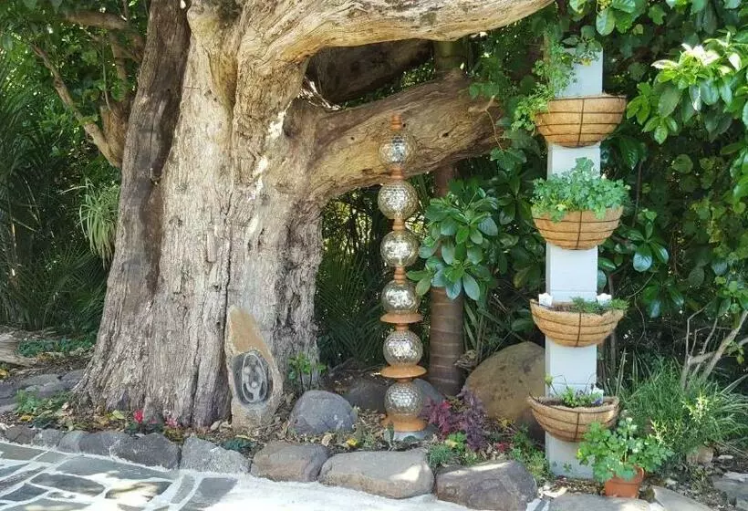 Aamiaismajoitus (B&B) Bird Haven