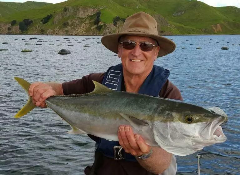 Aamiaismajoitus (B&B) Bird Haven