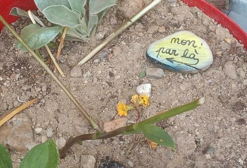 צימר La Lauze Et L Anguille