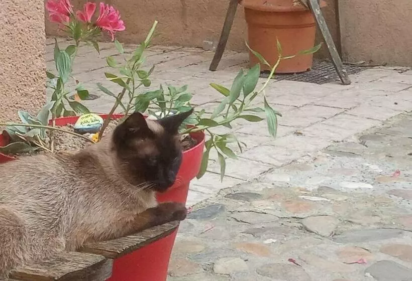 Aamiaismajoitus (B&B) La Lauze Et L Anguille