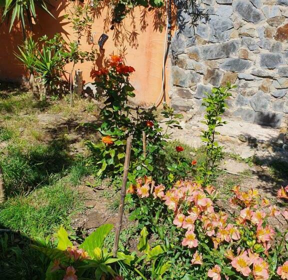 ベッドアンドブレックファースト Stella Sulcitana