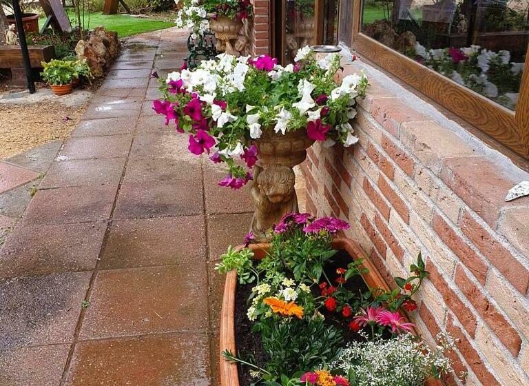 ベッドアンドブレックファースト Stella Sulcitana