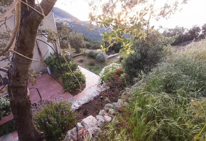 צימר Tre Castelli